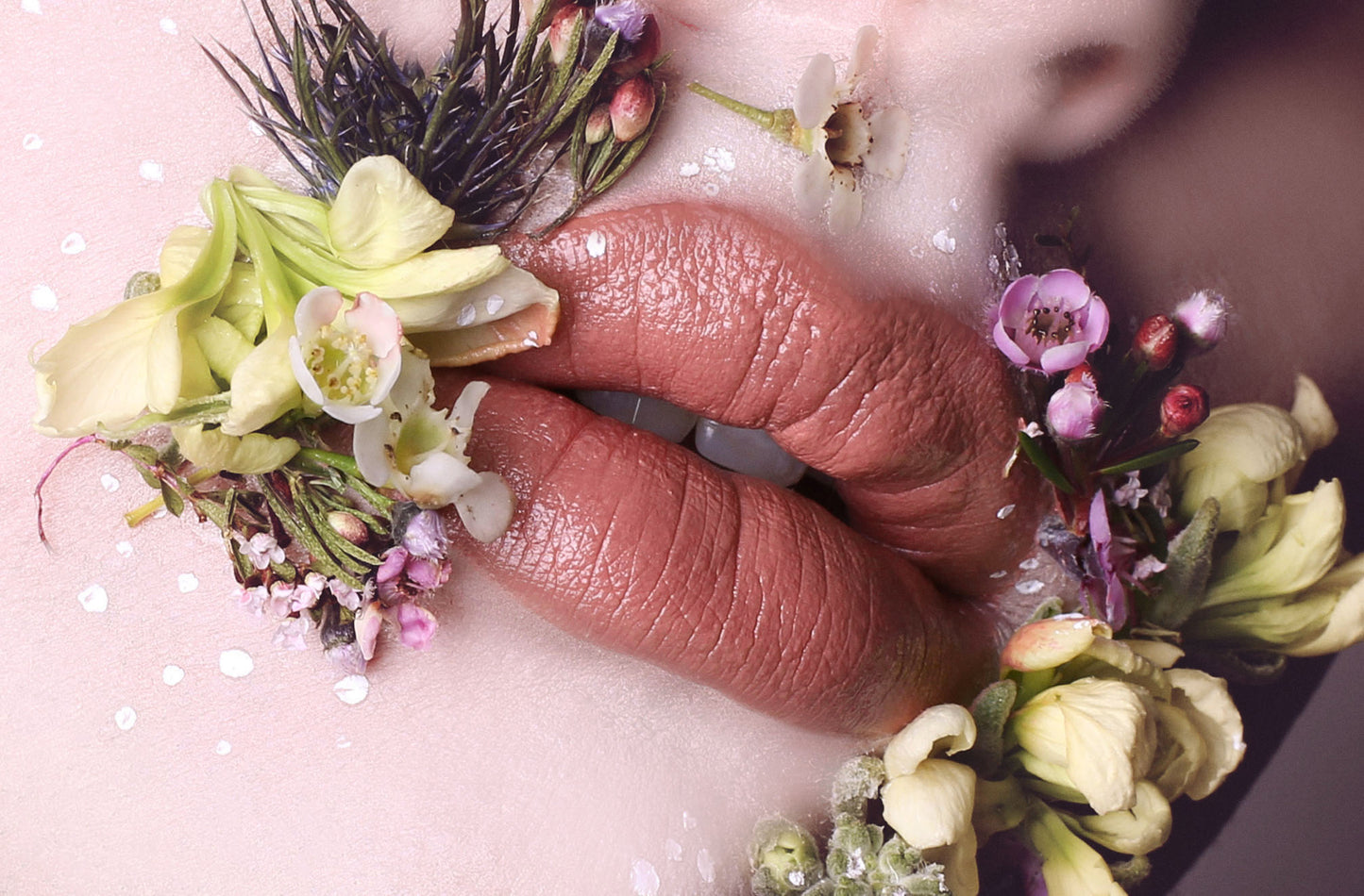 Suzy Lipsticks Sale. Suzy Lipsticks Miss Chloe Toffee 